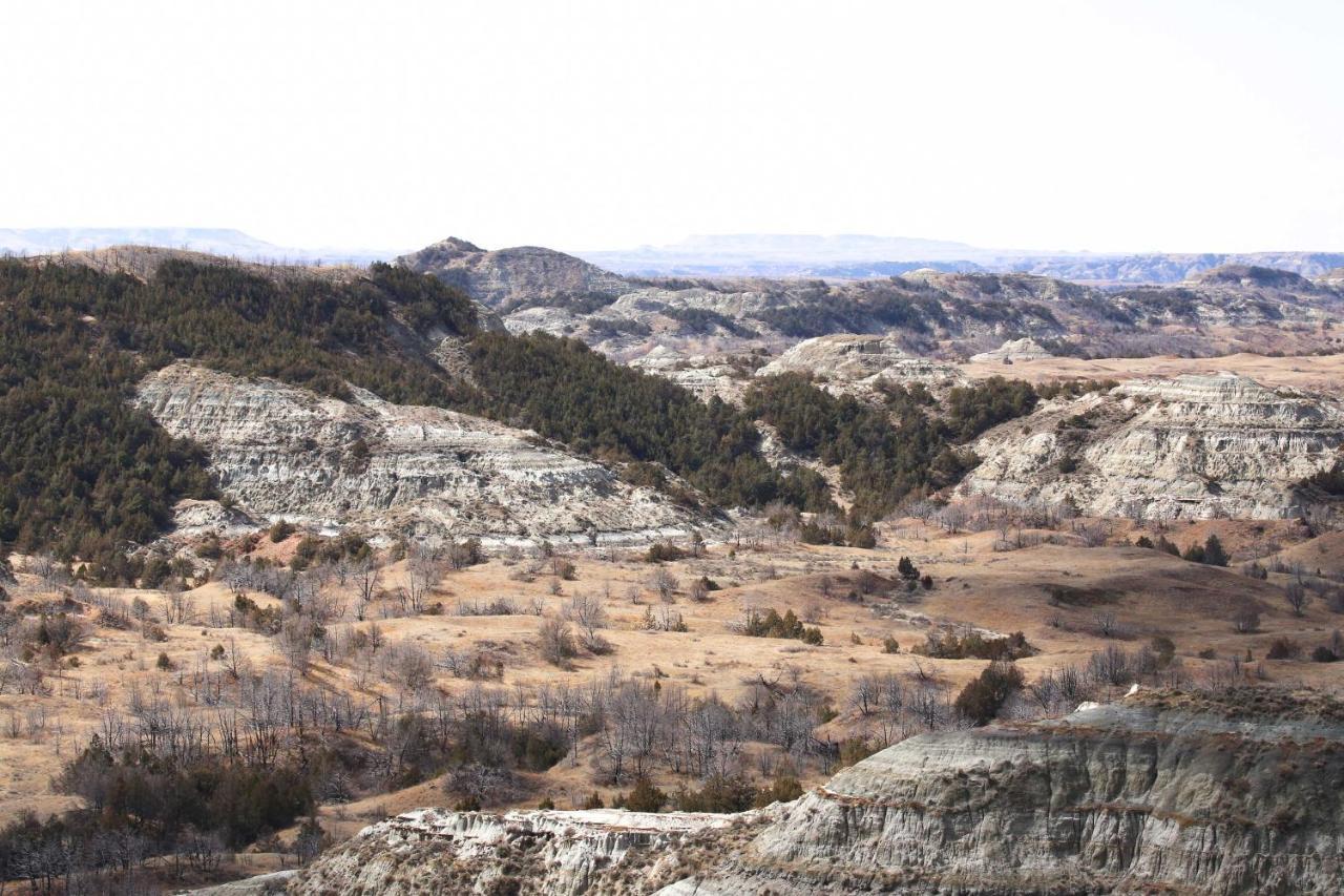 Badlands Suite Less Than 1 Mi To Teddy Roosevelt Park! เมโดรา ภายนอก รูปภาพ