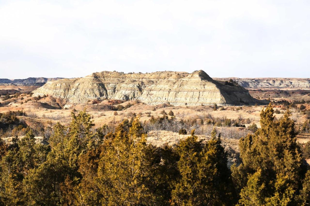 Badlands Suite Less Than 1 Mi To Teddy Roosevelt Park! เมโดรา ภายนอก รูปภาพ