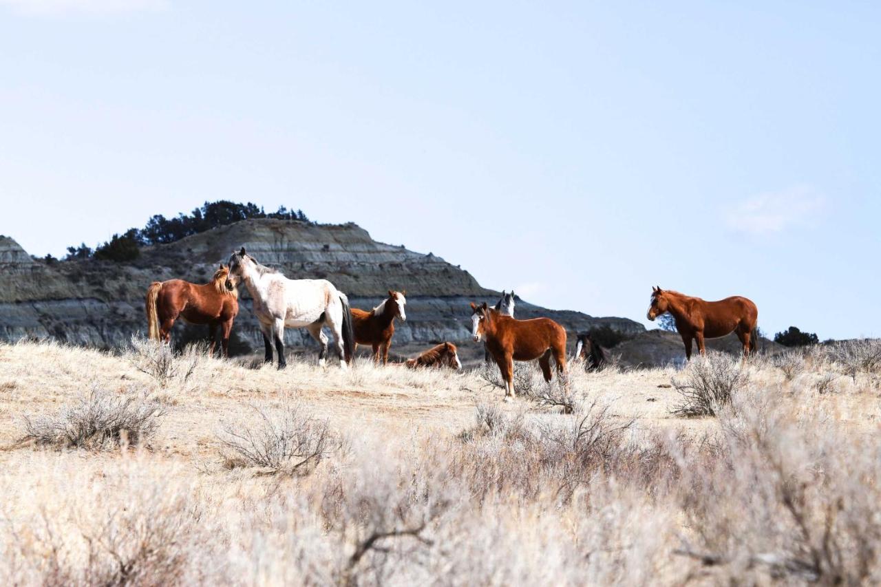 Badlands Suite Less Than 1 Mi To Teddy Roosevelt Park! เมโดรา ภายนอก รูปภาพ