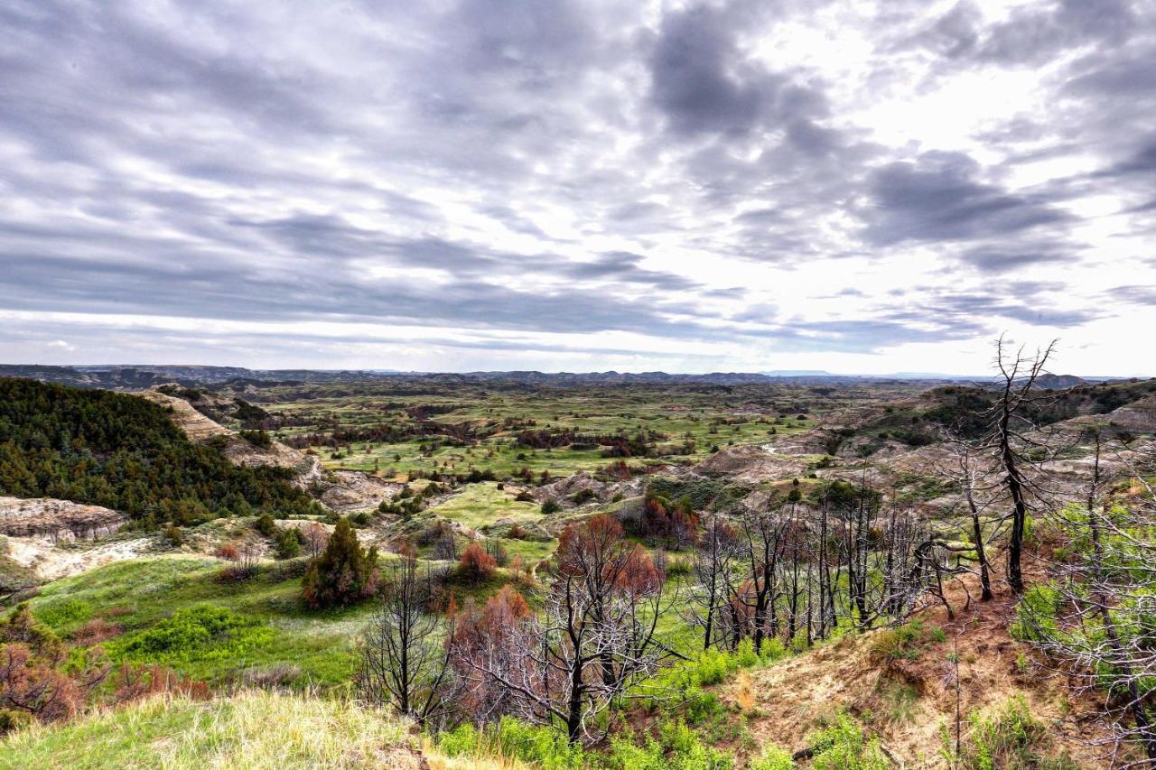 Badlands Suite Less Than 1 Mi To Teddy Roosevelt Park! เมโดรา ภายนอก รูปภาพ